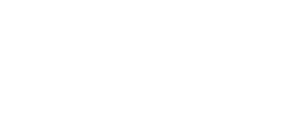 FC 25