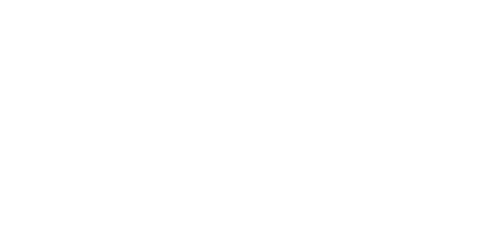 FC 25